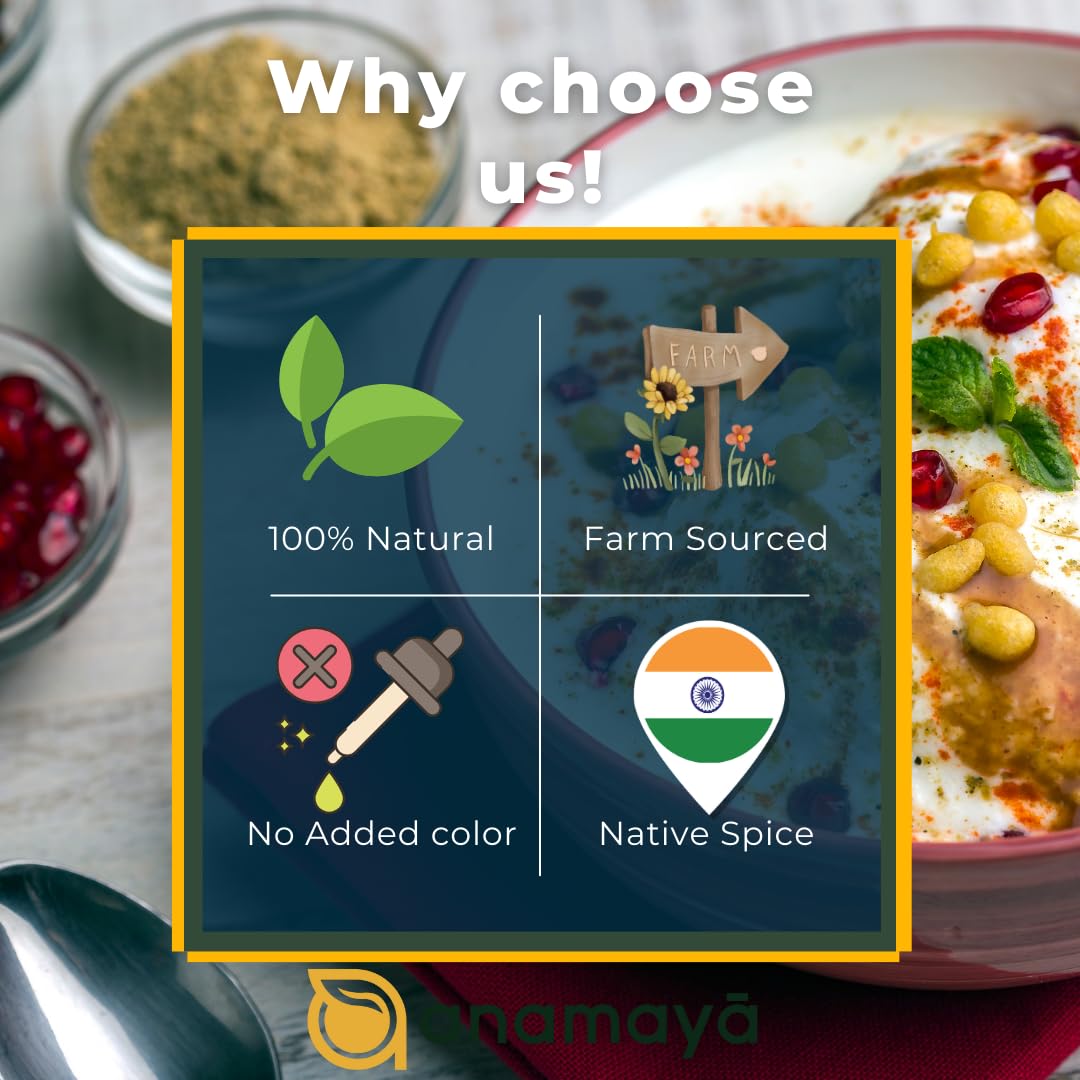 Anamaya Raita Masala Powder | Dahi Bada Masala | Dahi Vada Masala | Authentic Spice Mix from Prayagraj | Packed in an aesthentic food grade Jar | 100 gms