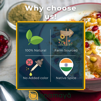 Anamaya Raita Masala Powder | Dahi Bada Masala | Dahi Vada Masala | Authentic Spice Mix from Prayagraj | Packed in an aesthentic food grade Jar | 100 gms