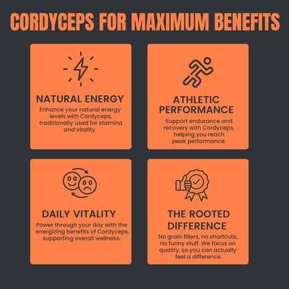 R ROOTED ACTIVE NATURALS Cordyceps Mushroom Supplement, Organic Extract Tincture | For Energy, Stamina, Supports Respiratory & Kidney Health| Non Gmo, No Alcohol Exctract | 30 Ml - 60 Servings