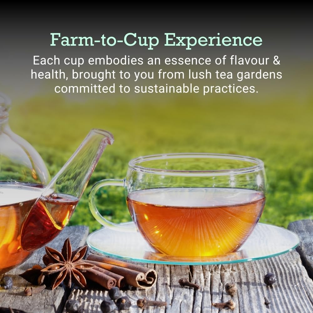 First Bud Organics Mint Tea - 100gm | Refreshing, Soothing Herbal Blend | Pure Peppermint Leaves, Caffeine-Free | Digestive Health and Relaxation