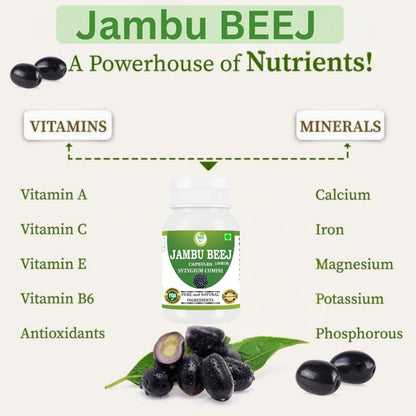 MORSAN HEALTHCARE | Jambu Beej Capsules 500mg – 60 Count | Vegetarian | Plant-Based | Herbal Supplement | No Artificial Additives | Gluten-Free | Organic (pack of 2)