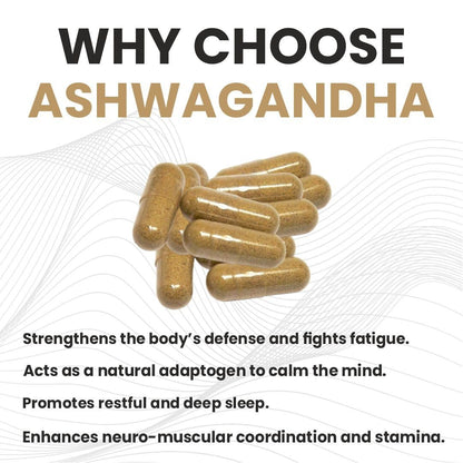 Raskam Ashwagandha 500 mg Capsules, 100 Veg. Capsules, Rejuvenates Body & Brain, Increases Energy, Strengthens Immune System, Reduces Stress & Anxiety