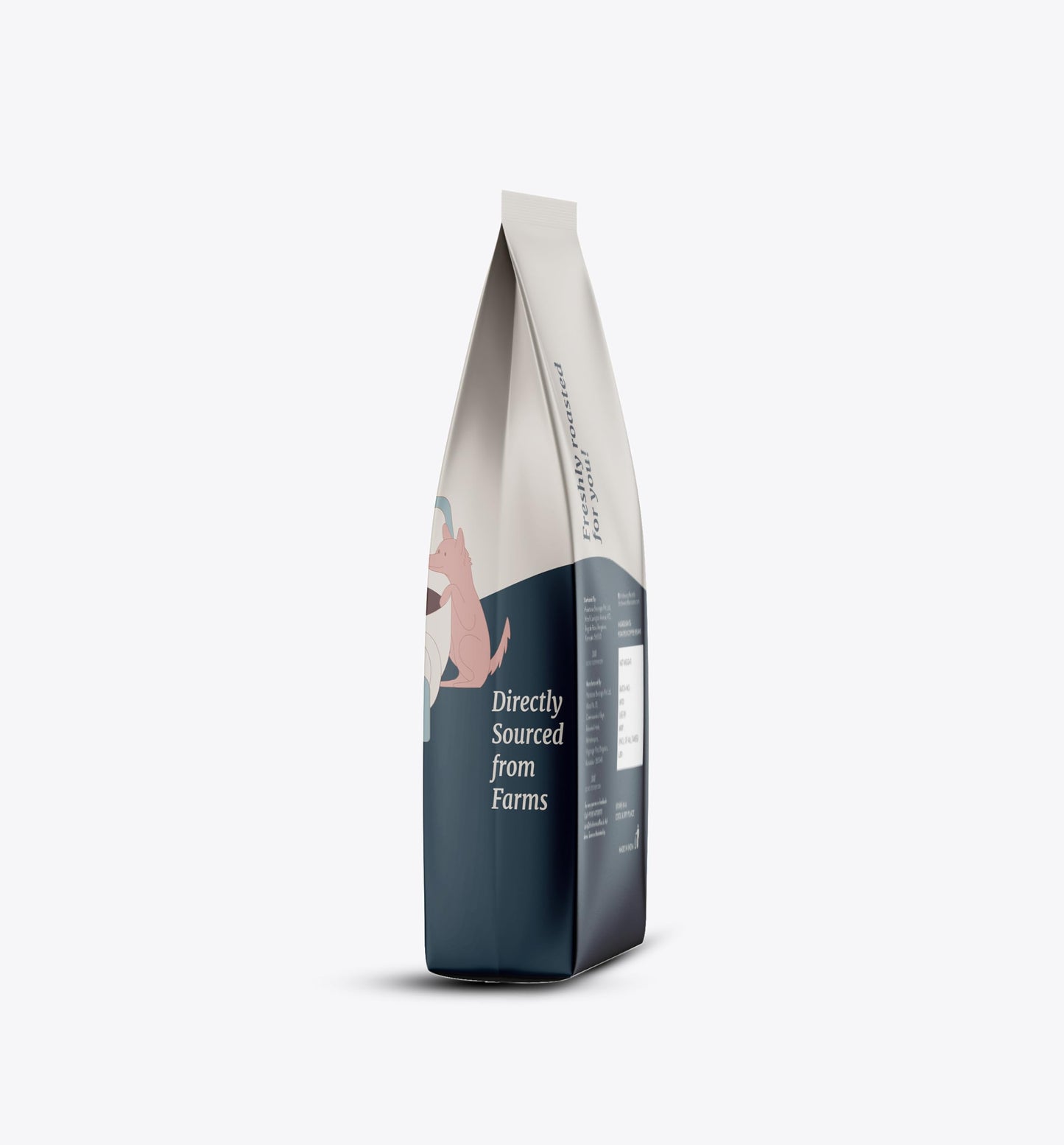 THIRD WAVE COFFEE | Speciality Single Origin Bababudangiri Region | 100% Arabica | Medium Light Roast | Electrical Dripper | Medium Grind | 250 grams | Pouch