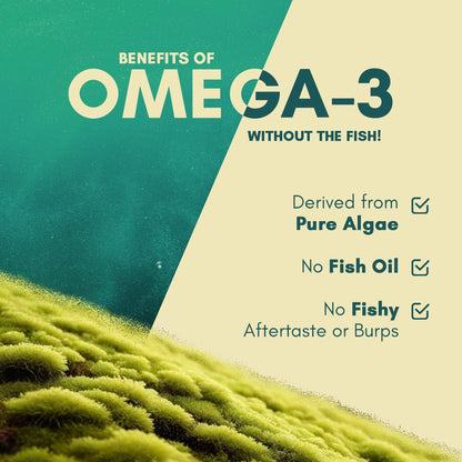 Rasayanam Pure Himalayan Shilajit (20g) & Plant Based Omega-3 (60 Capsu- image 4