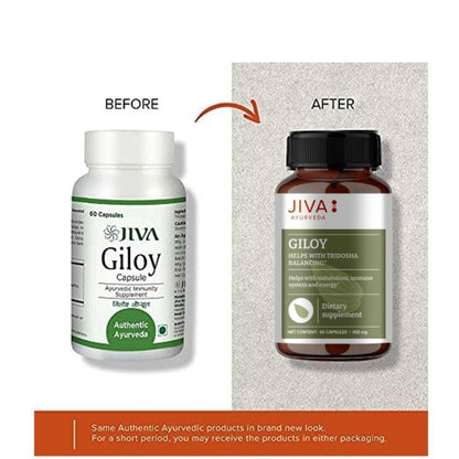 Jiva Giloy - 60 * 1 Capsule for Digestion | 100% Pure & Natural | Ageing and Immunity Boost | Herbal Supplements | Rich In Antioxidants