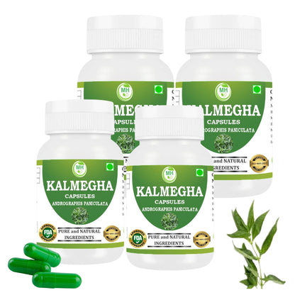MORSAN HEALTHCARE | Kalmegha Capsules 500mg – 60 Count | 4 Pack | Vegetarian | Plant-Based | Herbal Supplement | No Artificial Additives | Gluten-Free | Organic |