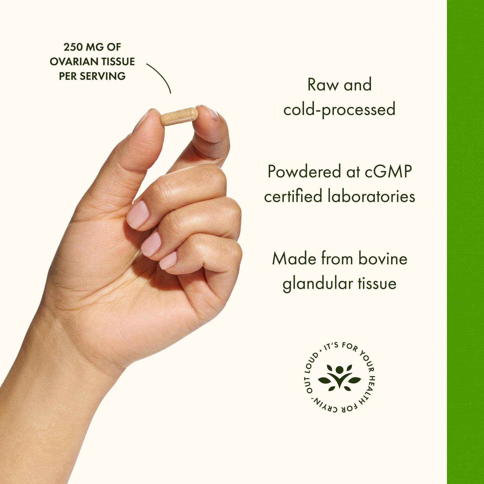 Swanson Raw Ovarian Glandular 250Mg 60 Capsules- image 5