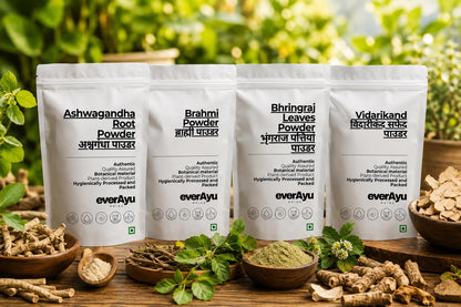 Adulsa Powder (अडूसा पाउडर) | Bansa | Malabar Nut | Vasa Adusha | Adhatoda Vasaka Herbal Powder | 100% Natural Ayurvedic Herb for Daily Wellness