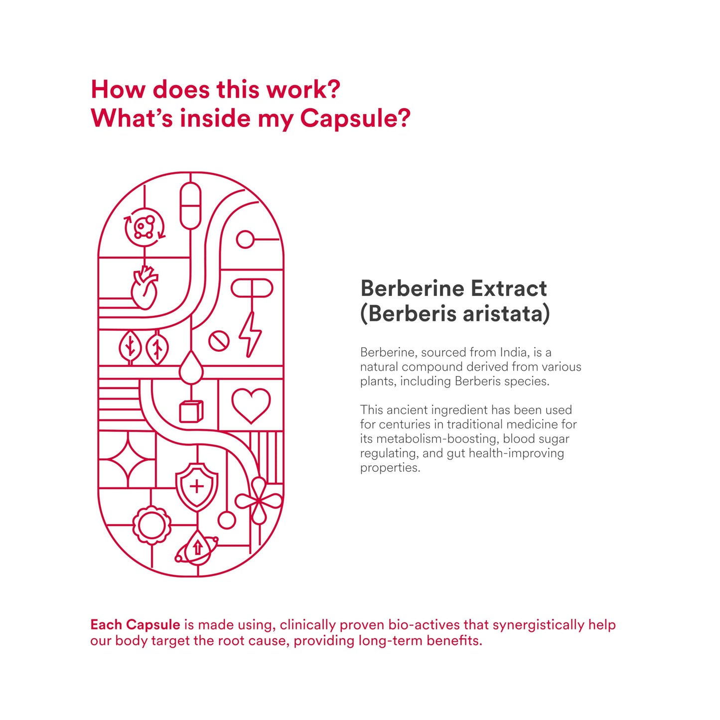 Origins Nutra 99% Pure Berberine HCL 500 mg | Supports Energy Levels, PCOS & Hormonal Balance | GMP Certified | 28 Veg Capsules | Pack of 2