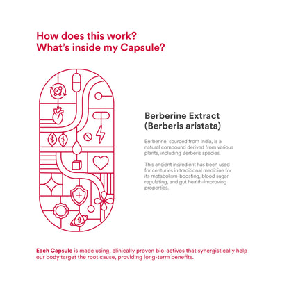 Origins Nutra 99% Pure Berberine HCL 500 mg | Supports Energy Levels, PCOS & Hormonal Balance | GMP Certified | 28 Veg Capsules | Pack of 2