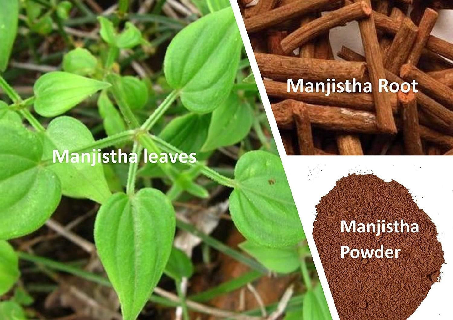 mGanna Manjistha Powder/Rubia Cordifolia/Madder Root Powder for Smooth Hair, Skin & Health Care 227gm / 0.5lbs