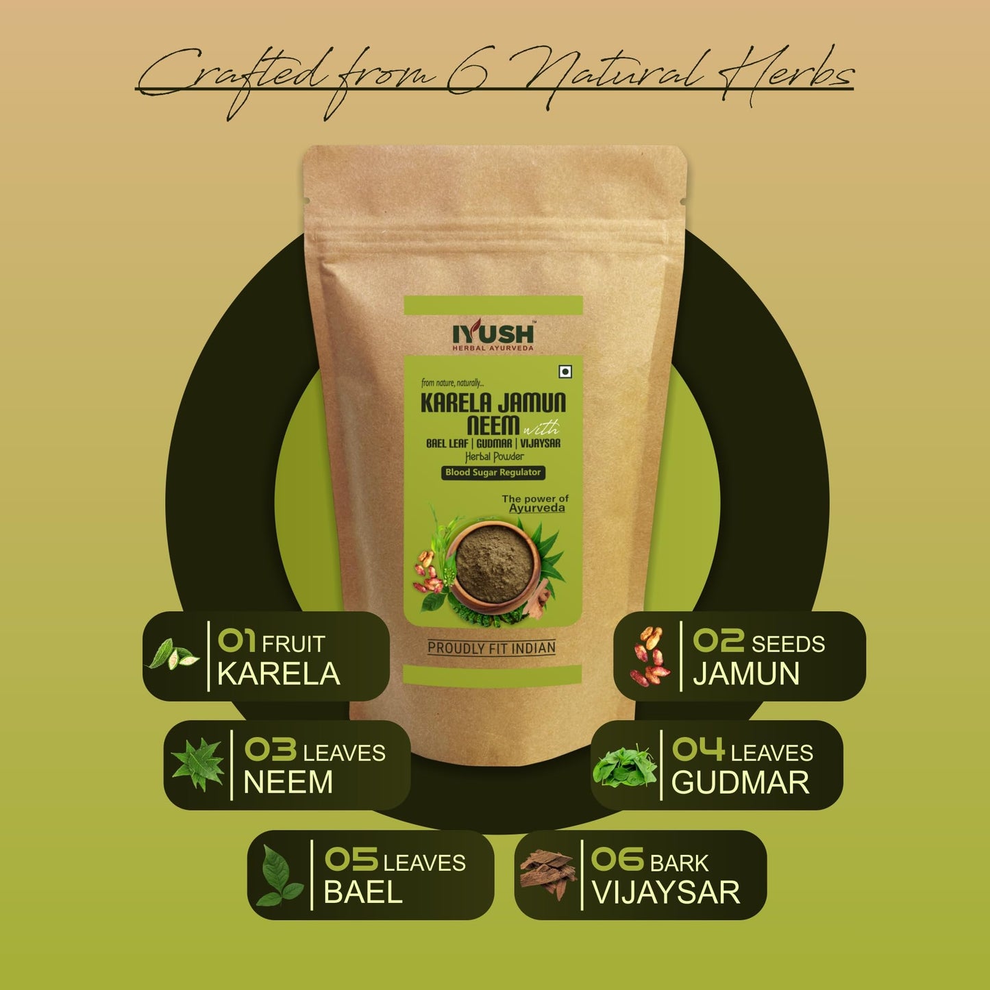 IYUSH Herbal Ayurvedic Karela Jamun Neem Powder with Gudmar, Vijaysar,- image 7