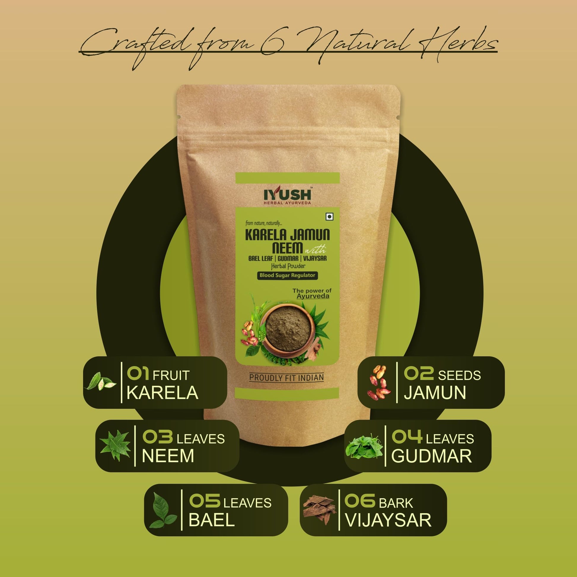 IYUSH Herbal Ayurvedic Karela Jamun Neem Powder with Gudmar, Vijaysar,- image 7