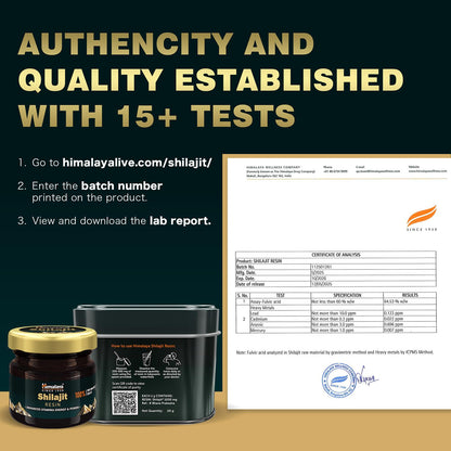 Himalaya Shilajit Resin | 20 g | Enhances Stamina, Energy, and Power | 100% Pure Himalayan *Shilajit* | Supports Healthy Testosterone Level