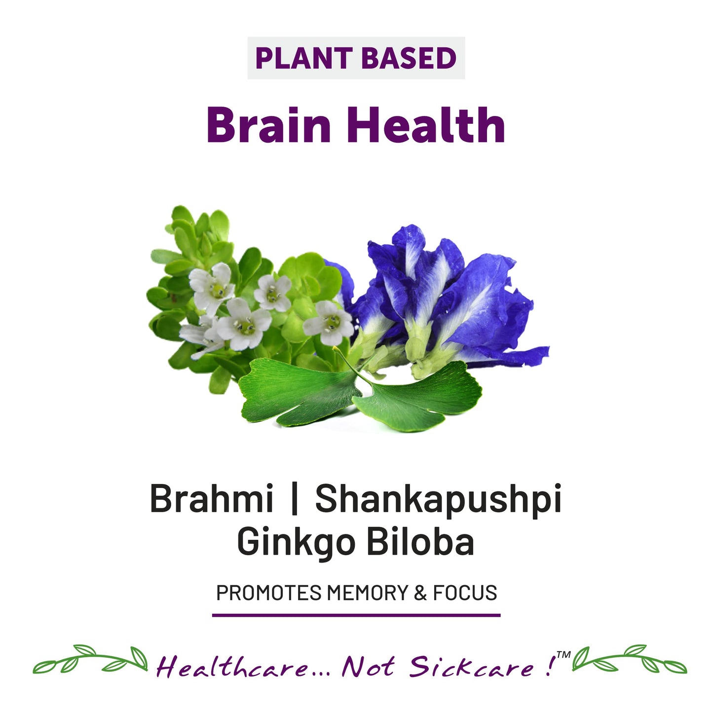 Bliss Welness Brain Booster,Brahmi Shankpushpi Ginkgo Biloba & Piperine- image 5