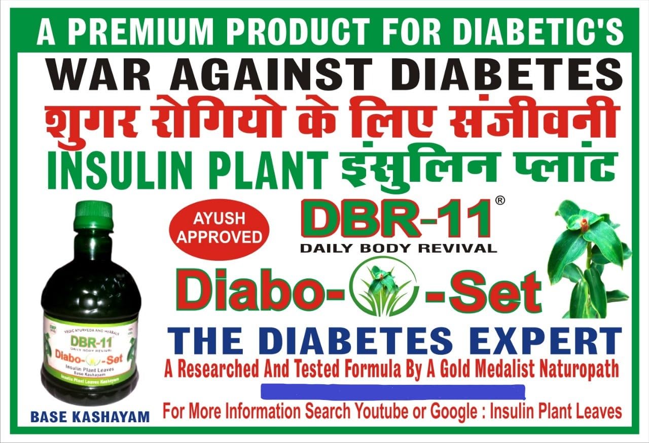 DBR-11 Diabo Set, Insulin Plant Leaves Base Kashayam, Ayurvedic Health Supplement for balancing sugar levels
