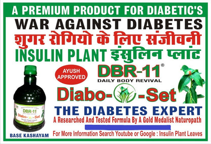 DBR-11 Diabo Set, Insulin Plant Leaves Base Kashayam, Ayurvedic Health Supplement for balancing sugar levels