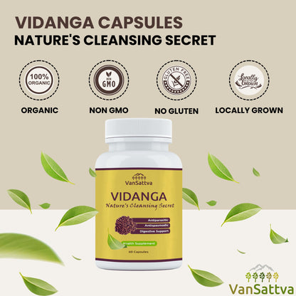 VanSattva Vidanga Capsule – 60 Caps, 650mg each