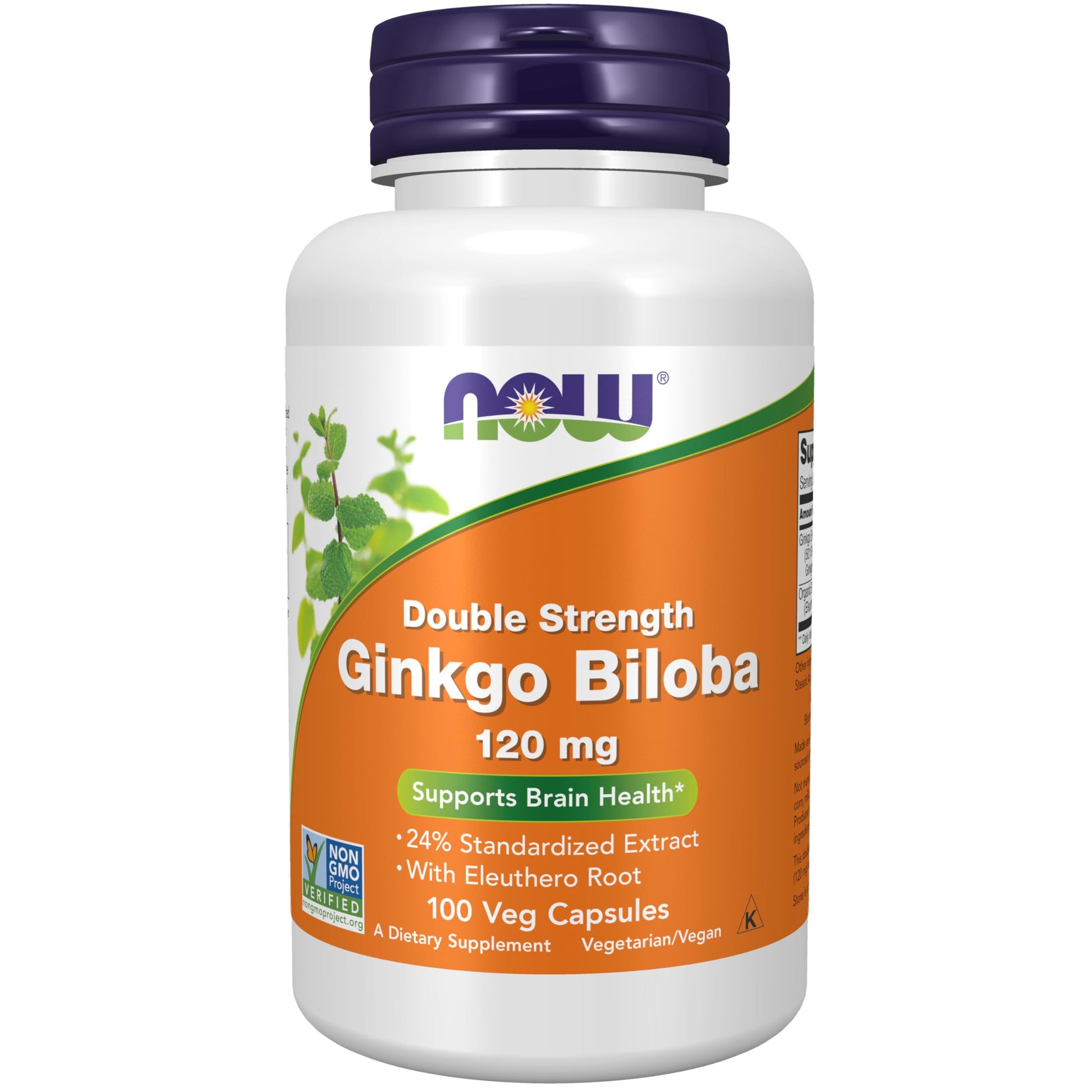 Now Ginkgo Biloba 120mg 24% 50:1 Ext 100vcap