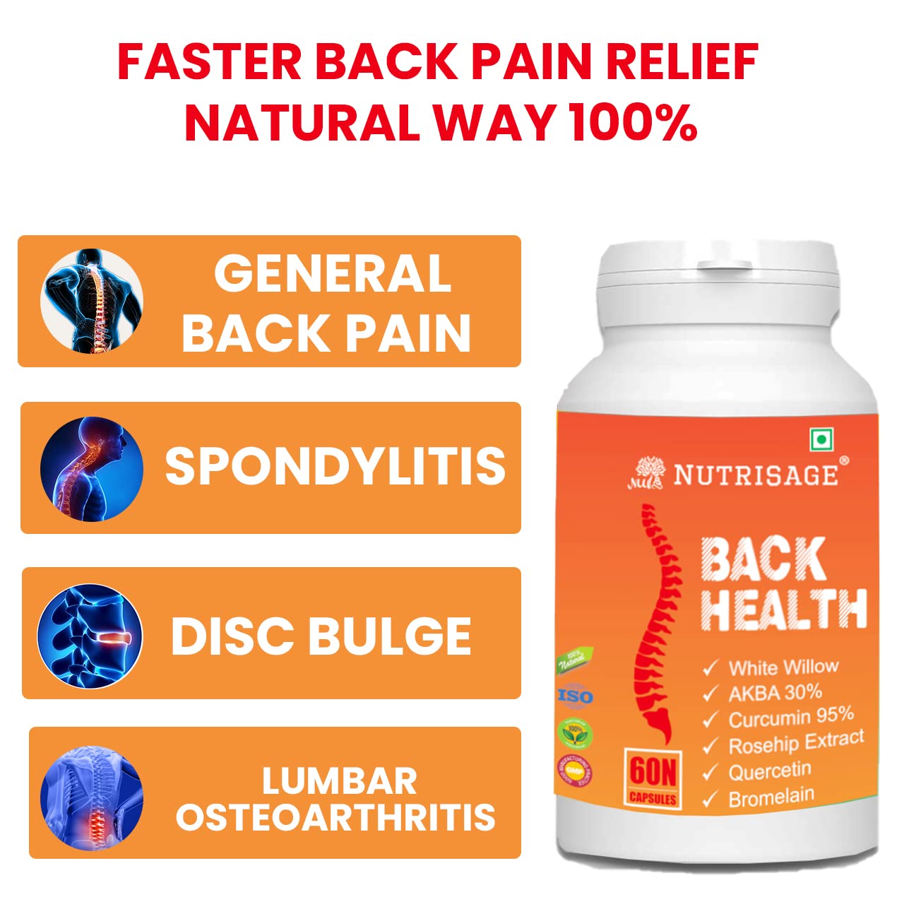 Nutrisage Back Health, Spine and Disc, Back Pain Relief with 9 Potent H- image 7