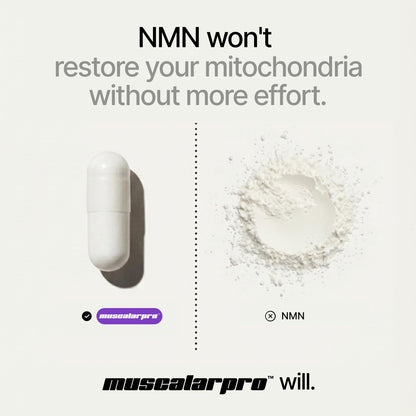 Muscalar Pro M3 Urolithin A 1000mg | Clinically Proven for Muscle Strength & Recovery, Cellular Recovery, and Anti-Aging | with Spermidine & S-Allyl Cysteine for Healthy Aging, Longevity, & Cellular Wellness | Mitoceutical Supplement for Men and Women | 6