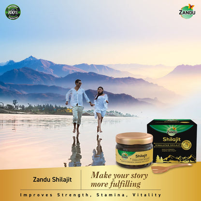 Zandu Pure Himalayan Shilajit Resin, 20 Grams (Pack of 1) | Natural & Ayurvedic| Helps Enhance Strength & Stamina | Maintains Overall Holistic Wellness, 40 Servings
