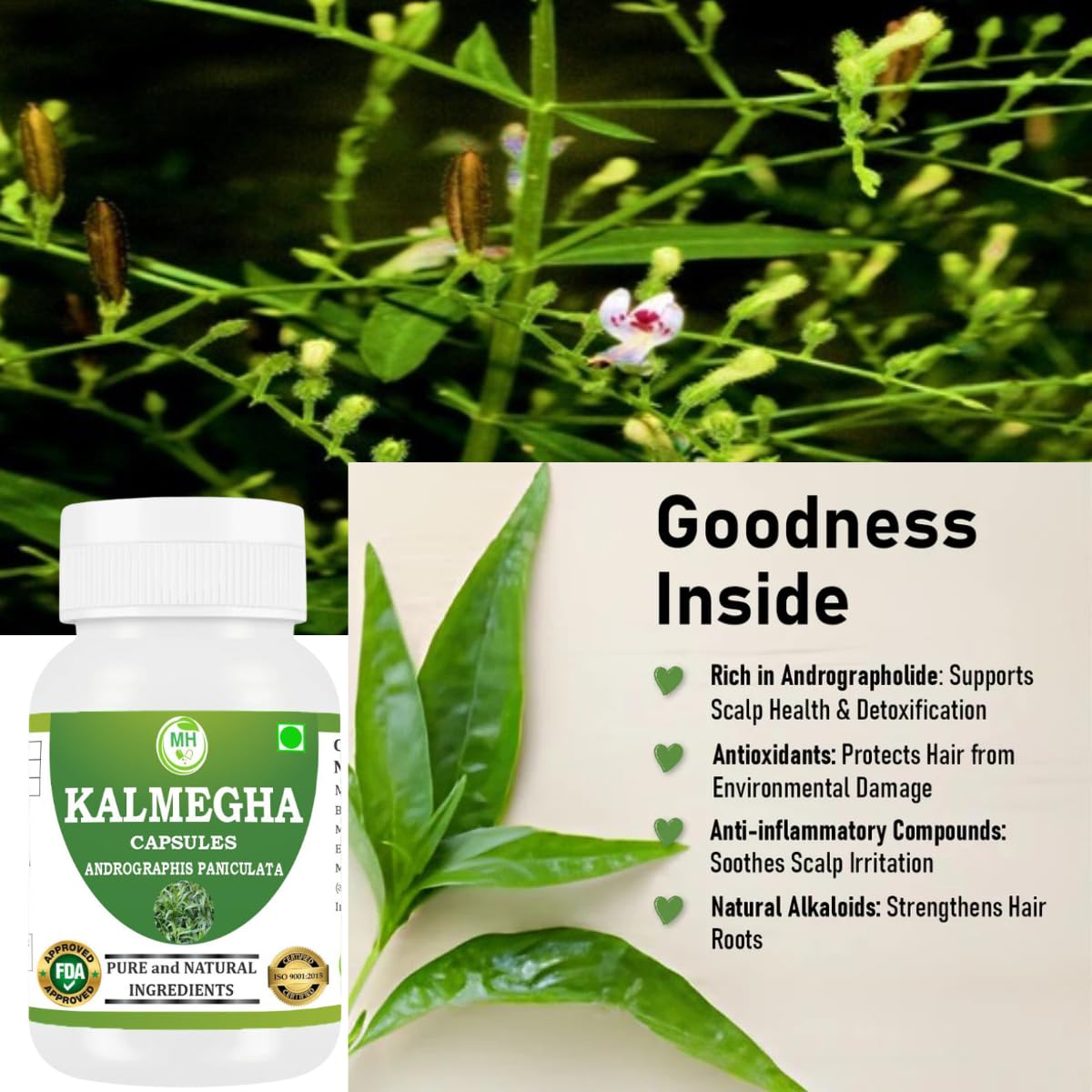 MORSAN HEALTHCARE | Kalmegha Capsules 500mg – 60 Count | 1 Pack | Vegetarian | Plant-Based | Herbal Supplement | No Artificial Additives | Gluten-Free | Organic |