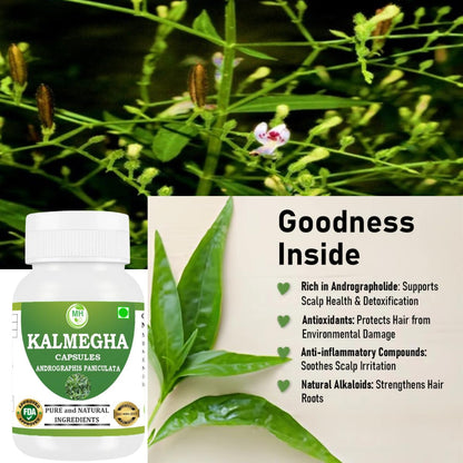 MORSAN HEALTHCARE | Kalmegha Capsules 500mg – 60 Count | 1 Pack | Vegetarian | Plant-Based | Herbal Supplement | No Artificial Additives | Gluten-Free | Organic |