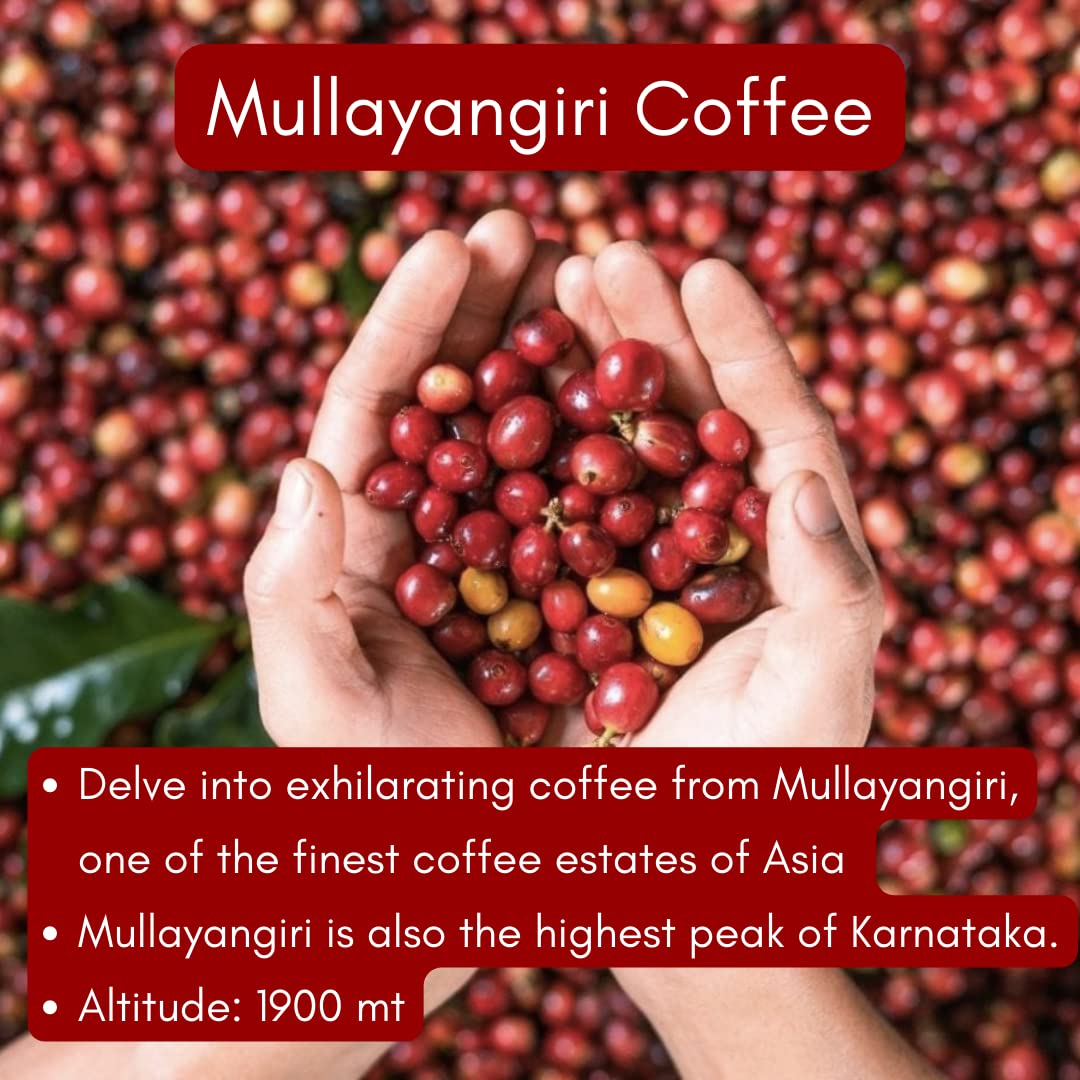 Toffee Coffee Roasters | Mullayanagiri Coffee, Medium Dark Roast, 250 g | Grind: Whole Beans, Single Origin, 100% Arabica | Speciality Coffee | Freshly Roasted