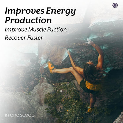 iThrive Essentials Magnesium Bisglycinate Chelated Powder – 180 gm (40 Servings) | High Absorption, 90.9% DV | Supports Sleep, Recovery, Nerve & Muscle Health, Non-GMO, Gluten-Free