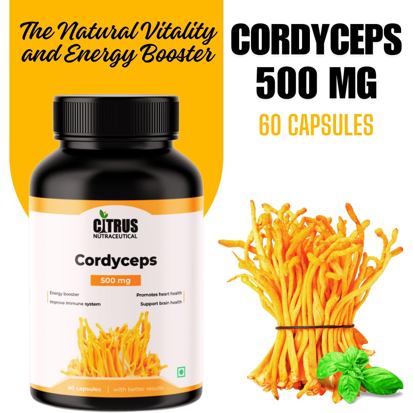 CITRUS NUTRACEUTICAL Cordyceps 500 mg for Energy Stamina Performance Immunity Respiratory Health Heart Health and Cognitive Function (60 Capsules)