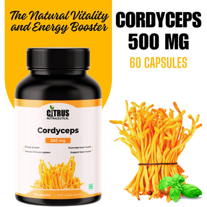 CITRUS NUTRACEUTICAL Cordyceps 500 mg for Energy Stamina Performance Immunity Respiratory Health Heart Health and Cognitive Function (60 Capsules)