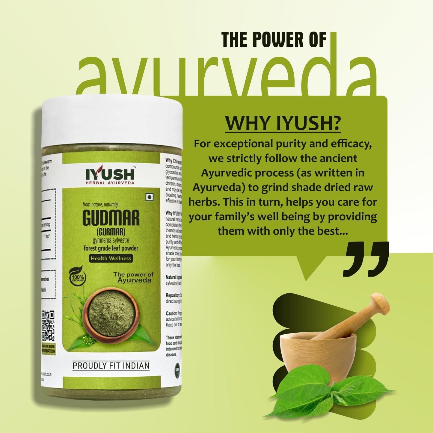 IYUSH Herbal Ayurveda Gudmar/Gurmar Powder - 100gm- image 3