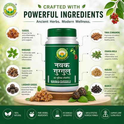 Basic Ayurveda Navaka Guggulu 40 Tablets Pack of 2
