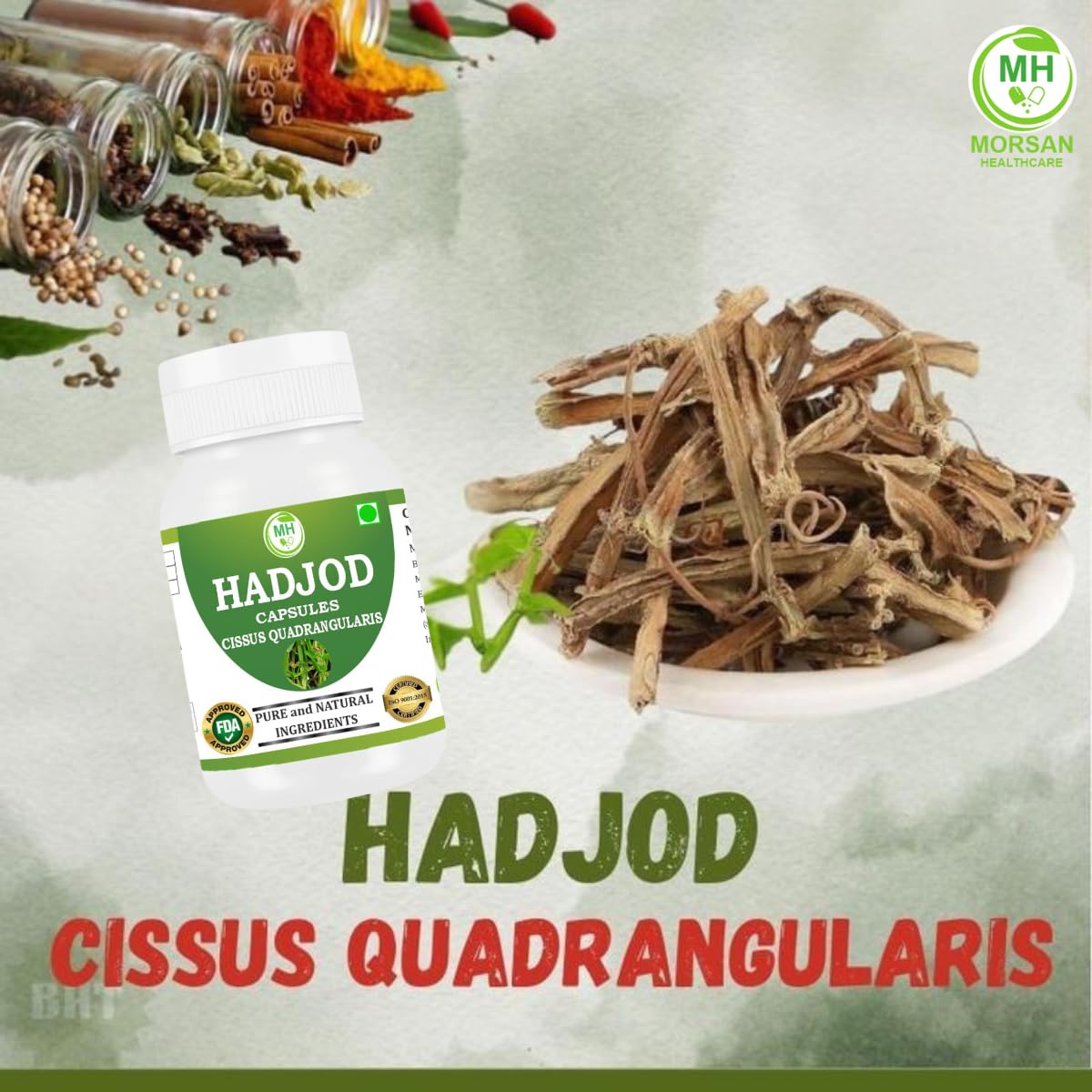 MORSAN HEALTHCARE | Hadjod Capsules 500mg – 60 Count | 1 Pack | Vegetarian | Plant-Based | Herbal Supplement | No Artificial Additives | Gluten-Free | Organic |