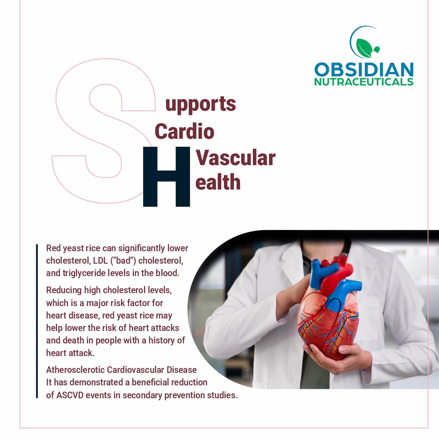 OBSIDIAN NUTRACEUTICALS | Red Yeast Rice 600 mg and Coenzyme Q10 100 mg, 60 Vegetarian Capsules | Heart & Lipid Support Formula |