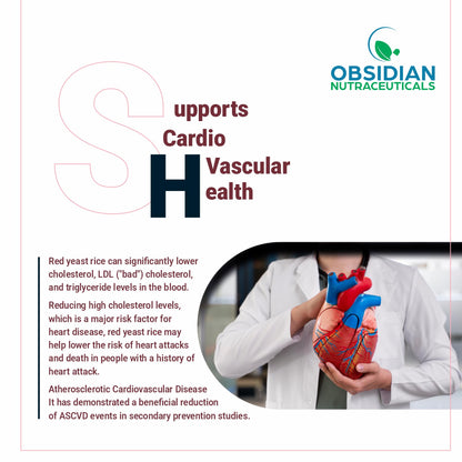 OBSIDIAN NUTRACEUTICALS | Red Yeast Rice 600 mg and Coenzyme Q10 100 mg, 60 Vegetarian Capsules | Heart & Lipid Support Formula |