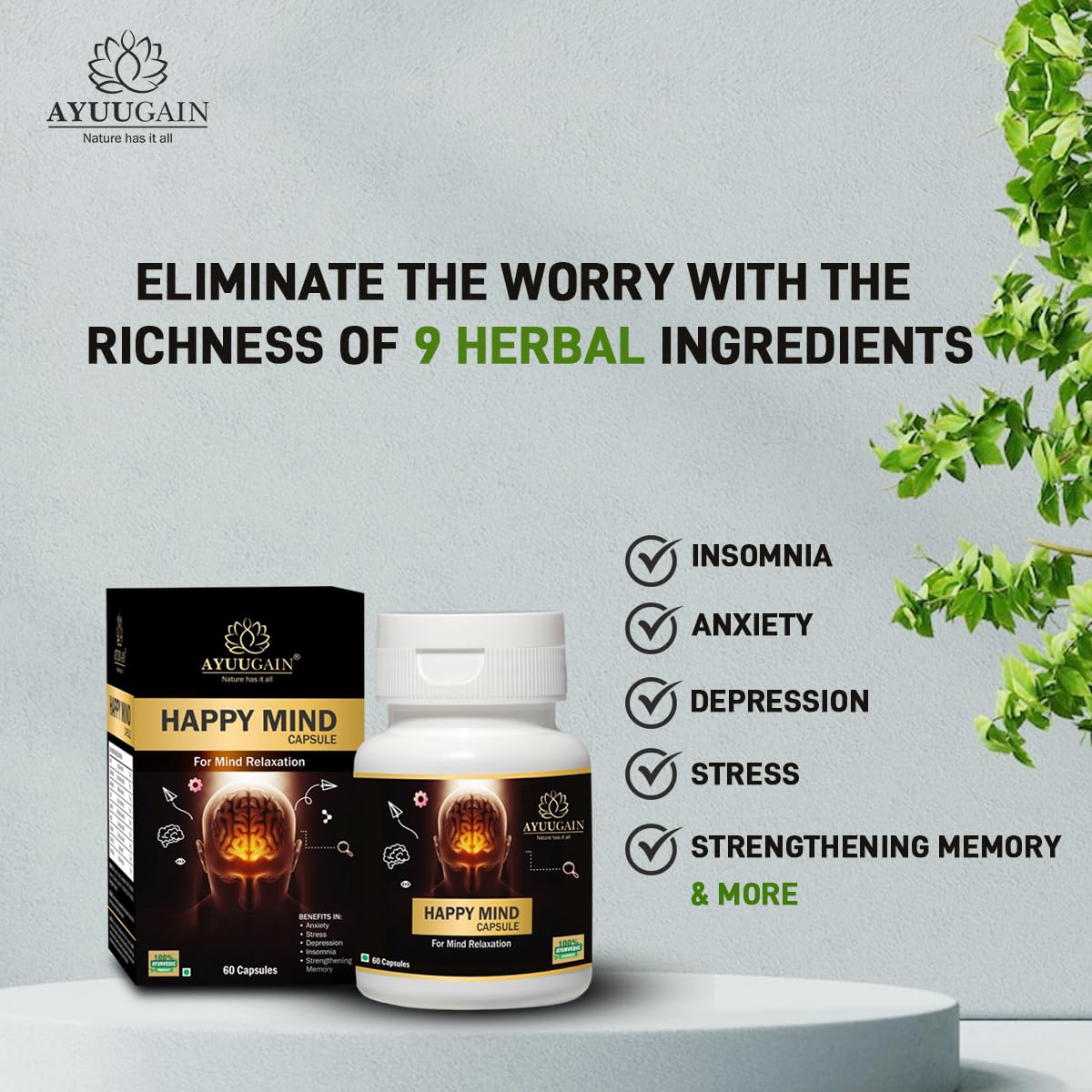 Ayuugain Happy Mind Capsule, Herbal Support for Stress, Tension & Anxie- image 7