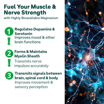 OZiva Magnesium Triple Complex 1100mg for Muscle, Sleep and Nerve Function | With Aquamin Mg, Glycinate, Magnesium L-Threonate & Bisglycinate | 60 Vegetarian Tablets