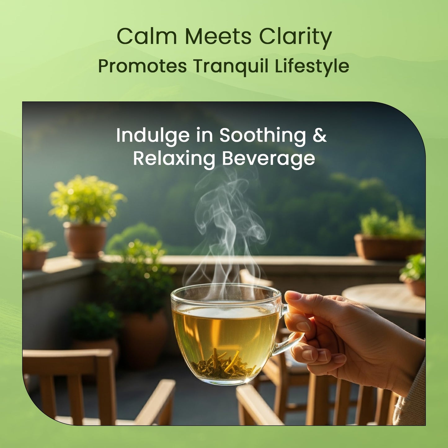 Teamonk Anicca High Mountain Chamomile Green Tea Bags (50 Pyramid Bags) | Relaxation & Sleep Aid, Rich in Antioxidants, Stress Relief | Gluten-Free, Eco-conscious | Calming Gifts For Anxiety