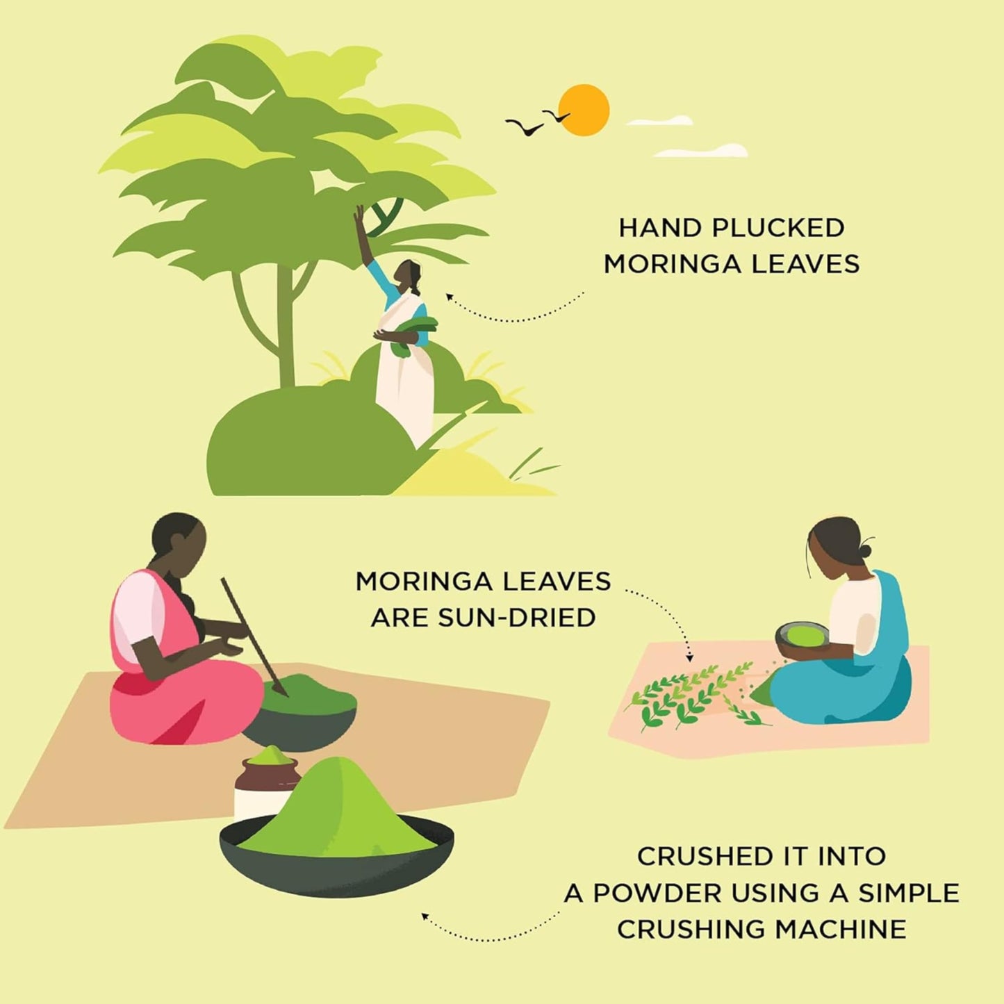 WonderBox Moringa Leaf Powder - 500 Gm | Rich in Vitamin C, Antioxidant- image 4