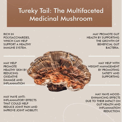 Vitaminnica Turkey Tail Mushroom Supplement 500mg- 60 High Strength Vegan Capsules | Nootropics for Gut Health