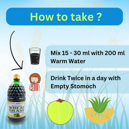 Kapila Wheatgrass Juice 1 Liter for Liver Detoxification & Improves Gut Health, Helps in Weight & Cholesterol management