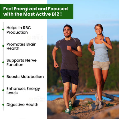 Vlado's Himalayan Organics Vitamin B12-500 mcg - Active form of Methylcobalamin Vitamin B12 Supplements for Men & Women (Pack of 3) - 180 Veg Tablets