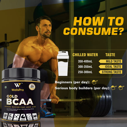 Wellspro Gold BCAA Supplement Powder 250G, Gold Ratio 4:1:1, Intra Workout Supplement for Muscle Growth & Faster Recovery, Keto Friendly, Caffeine Free (Mix Berry Flavor)