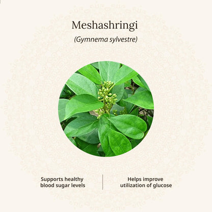 Amarantha Diabulin Tablet - Ayurvedic Blood Sugar Support (60 Tablets) | GMP Certified | Tested for Heavy Metals & Microbes | With Extracts Meshashringi, Bijak & Karela