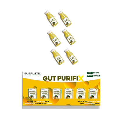 PURRUSTIC Gut Purifix Ayurvedic Gut Cleanse, 11 Herbs Prebiotic Colon Detox Juice, Gut Detox & Digestion Support, Boosts Metabolism & Immunity, Tackles Bloating, Gas & Constipation (6 days, 6 Bottle)