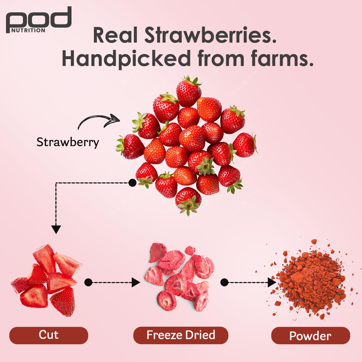 POD NUTRITION Pea Protein Isolate Powder | Vegan Plant Protein, No Added Sugar, Dairy Free| Clean & Easy to Digest with Essential Amino Acids (1kg Pouch, Real Strawberry)