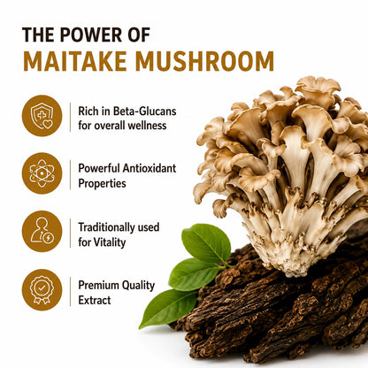 Way Of Pleasure Maitake Mushroom 60 Capsule