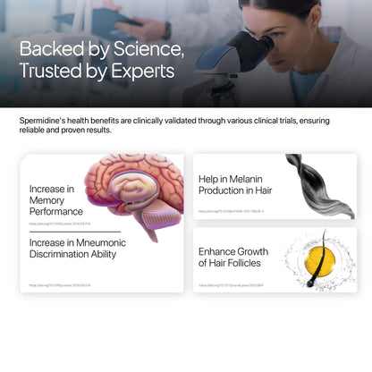 Decode Age Spermidine Supplement|Supports Autophagy,Immunity,Skin & Hair Health,Heart Health|10 Mg,60 Capsules,Vegan,1 Count